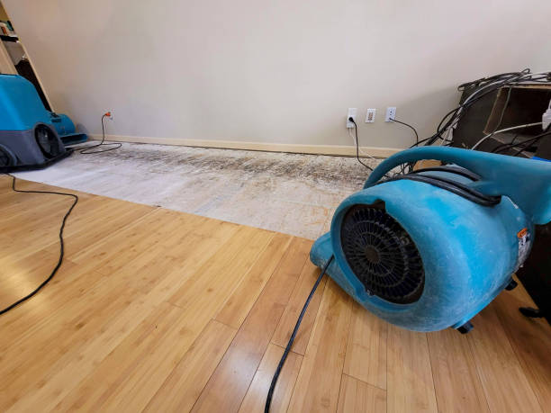 Professional Structural Drying technician working in Vienna, NJ